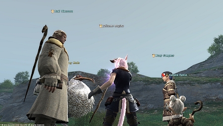 Guild leve #1