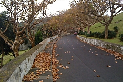 Me and a place i call Lajes-3